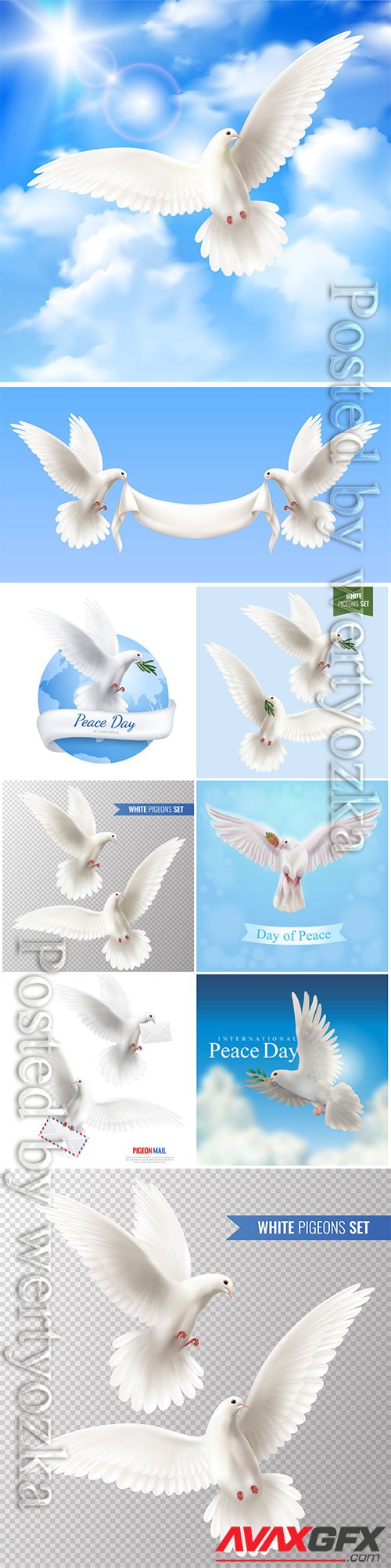 White pigeons vector set