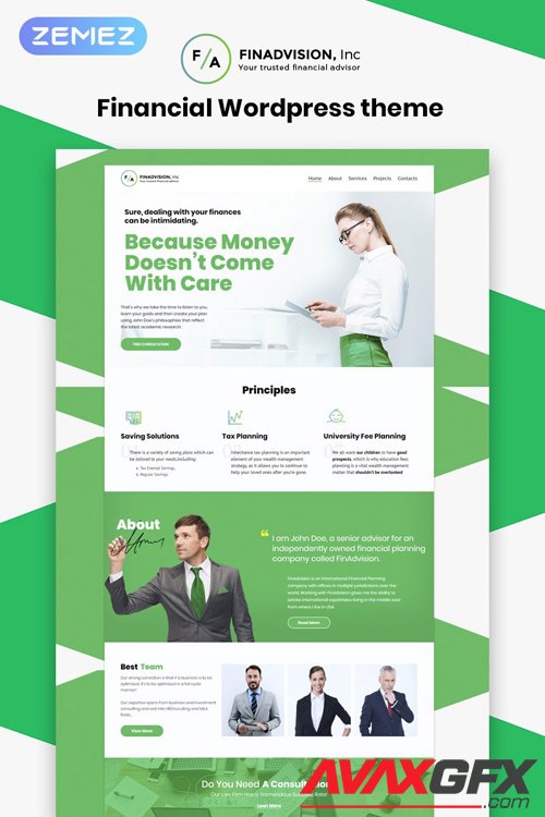 Financial Advisor v1.0.0 - Responsive WordPress Theme - TM 55970