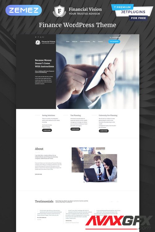 Financial Vision v1.0.0 - WordPress Theme - TM 57761