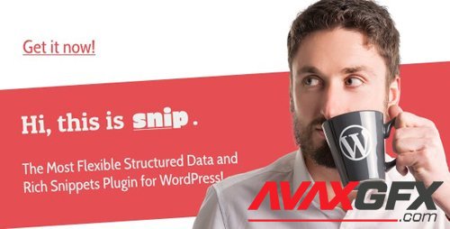 CodeCanyon - SNIP v2.15.3 - Structured Data Plugin for WordPress - 3464341 - NULLED
