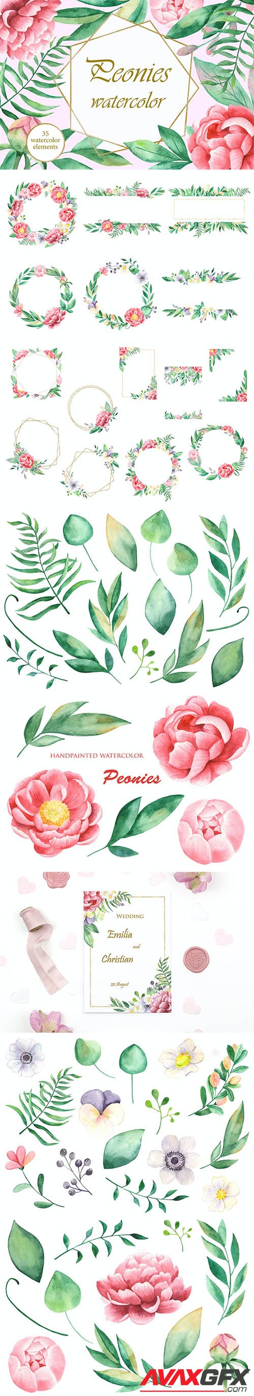 Watercolor Peonies flowers