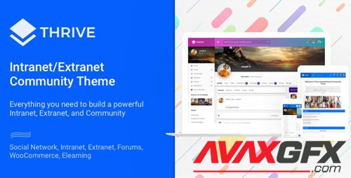 ThemeForest - Thrive v3.1.8 - Intranet & Community WordPress Theme - 12275020