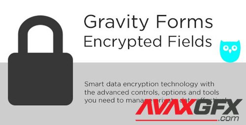 CodeCanyon - Gravity Forms Encrypted Fields v4.4.6 - 18564931 - NULLED