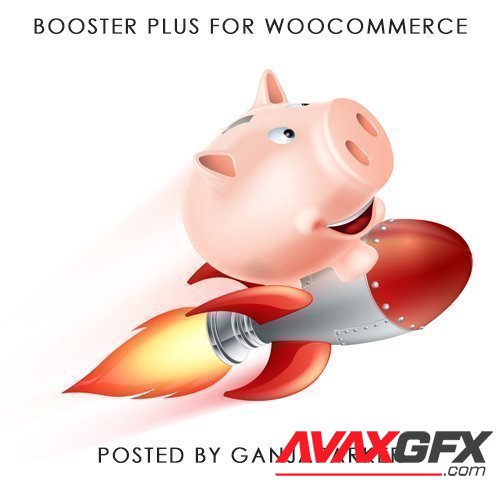 Booster Plus for WooCommerce v4.9.0 - NULLED