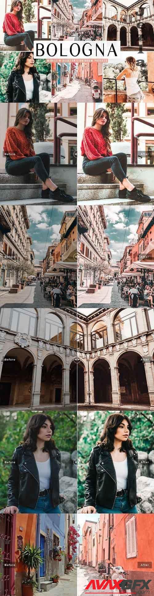 Bologna Mobile & Desktop Lightroom Presets