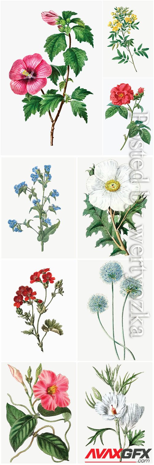 Set of beautiful blooming vector flowers # 2