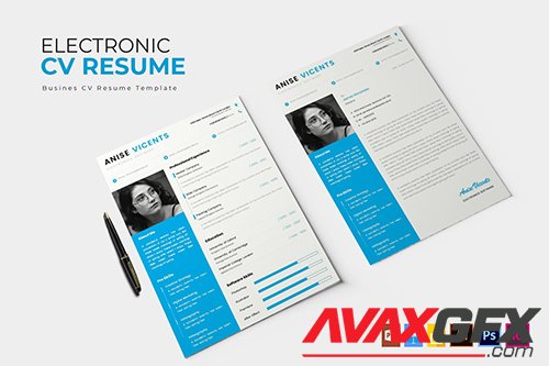 Electronic | CV & Resume