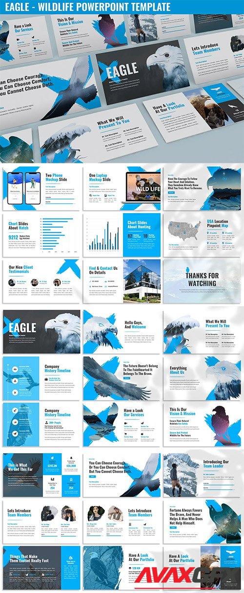 Eagle - Wildlife Powerpoint Template