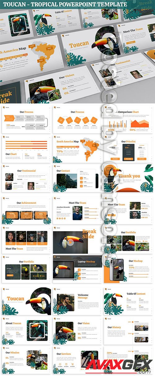 Toucan - Tropical Powerpoint Template