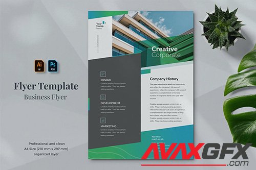 Business Flyer Template 20