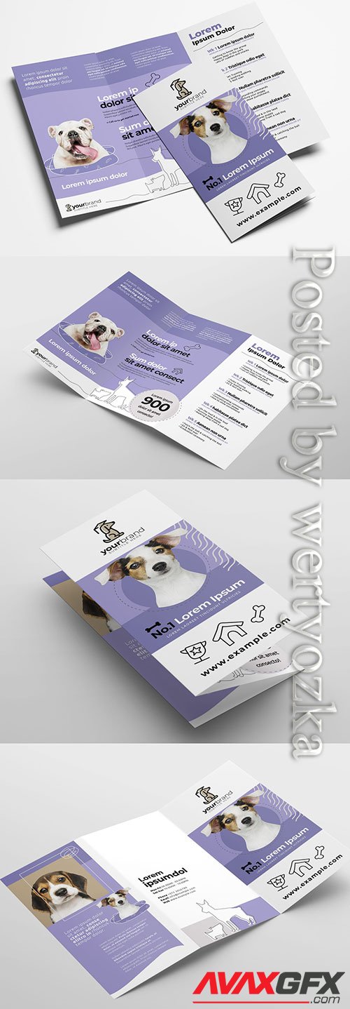 Trifold Brochure Layout for Pet and Vet Services