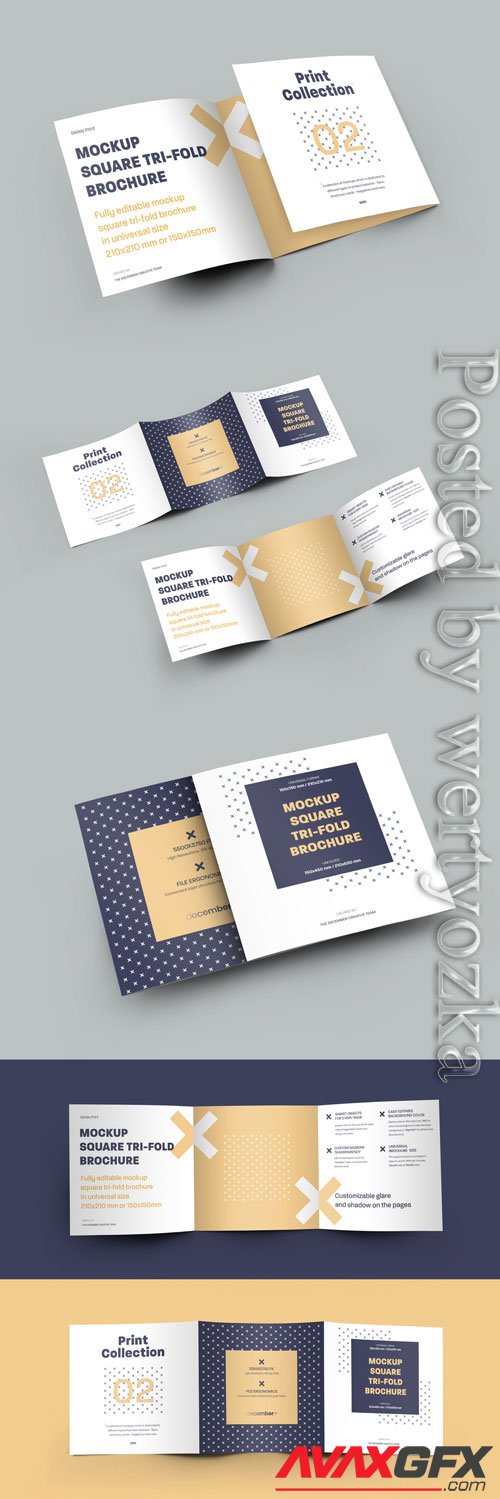 5 Mockup Set Square Tri-Fold Brochures