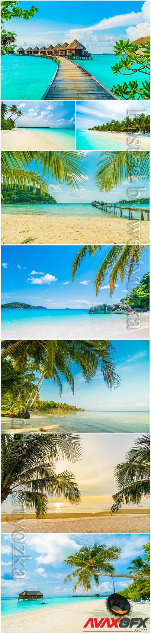 Beautiful tropical beach sea with  palm tree paradise island
