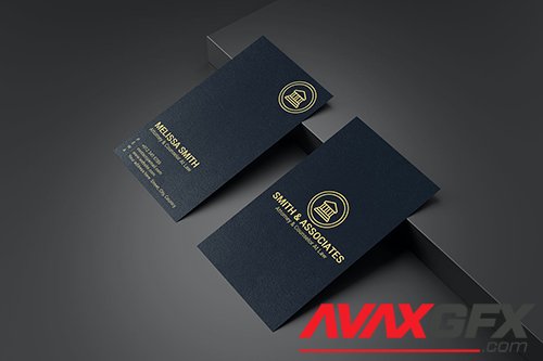 Business Card Template V.4