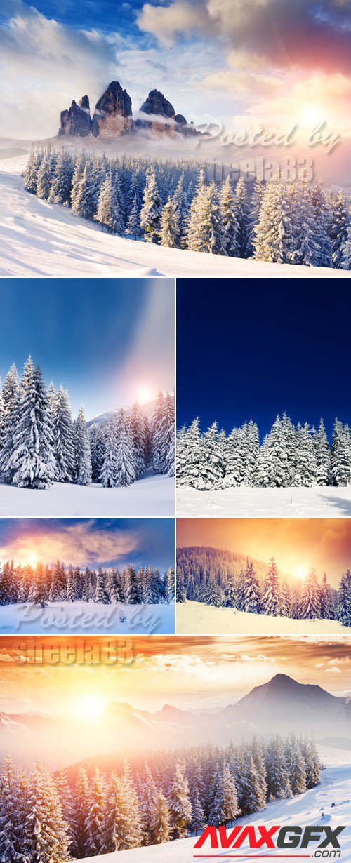 Stock Photo - Winter Nature 4