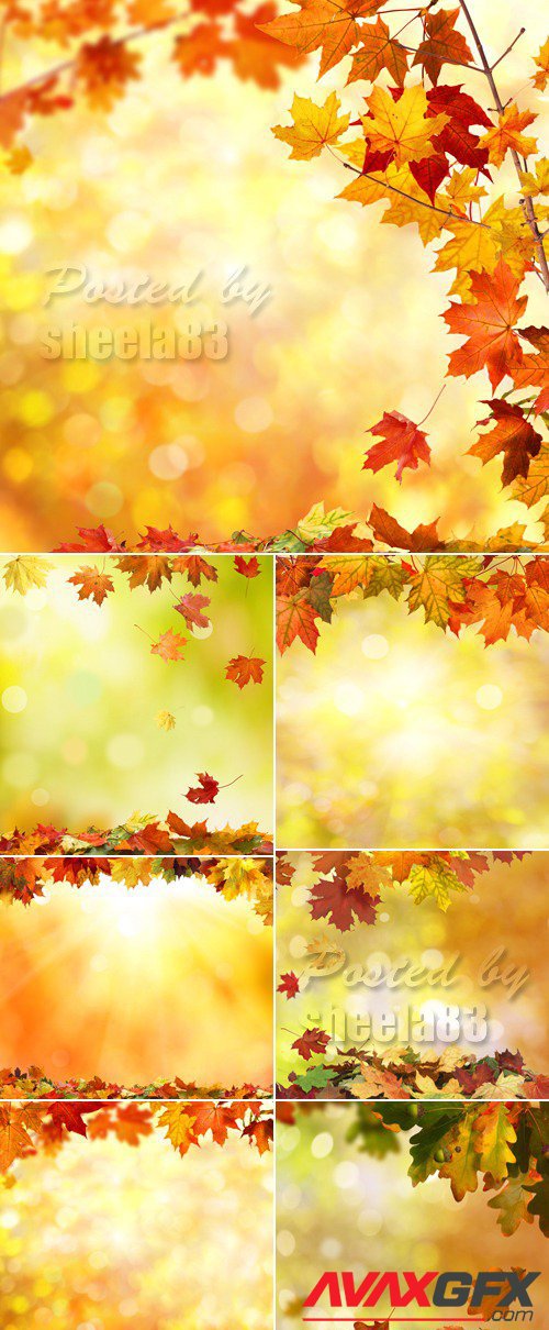 Stock Photo - Autumn Nature Backgrounds 4