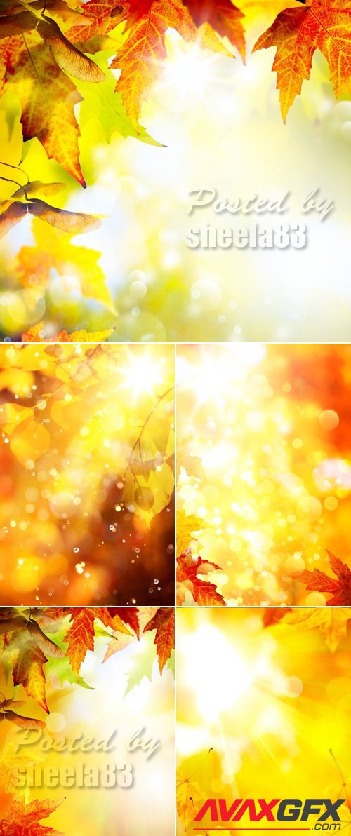 Stock Photo - Autumn Leaves Backgrounds 6