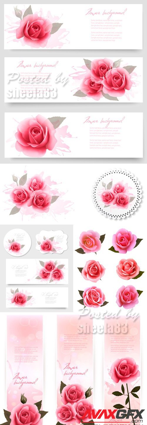 Pink Roses Cards Vector