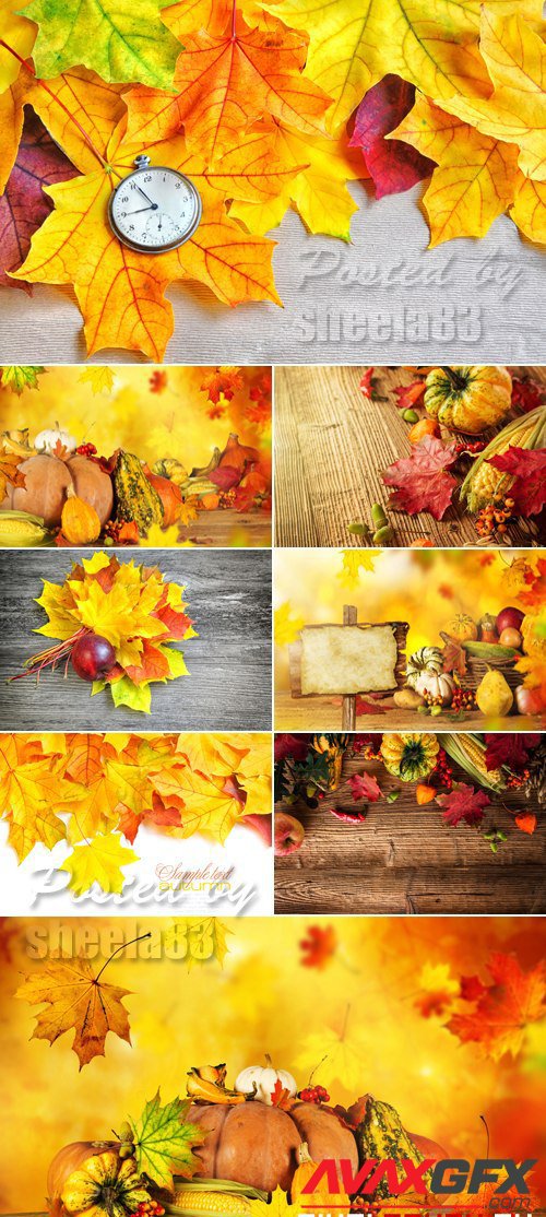 Stock Photo - Autumn Nature Backgrounds