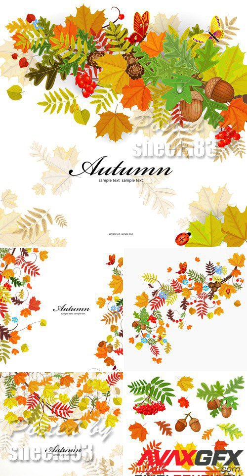 Autumn Leaves Backgrounds Vector 9