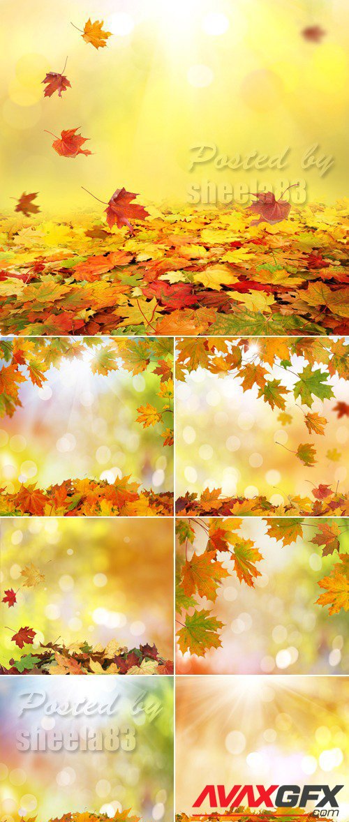 Stock Photo - Autumn Nature Backgrounds 2