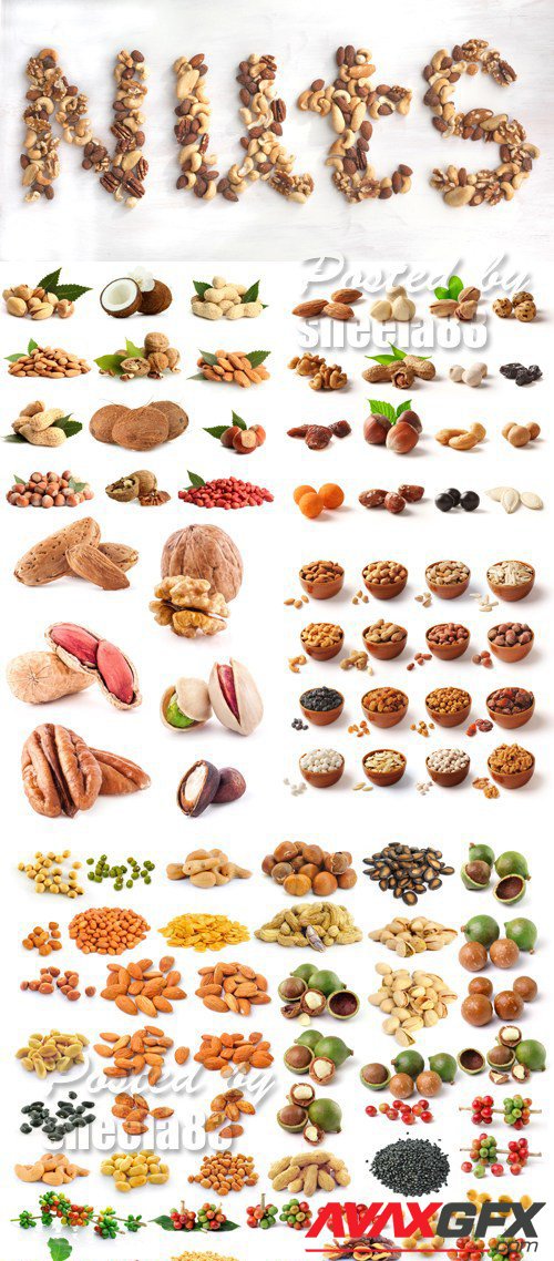 Stock Photo - Nuts Isolated