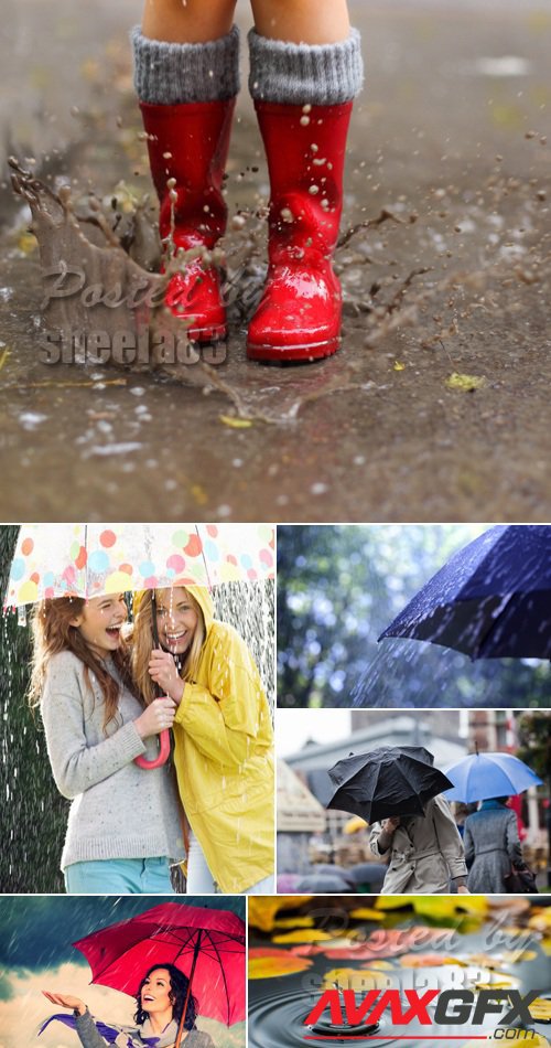 Stock Photo - Rain