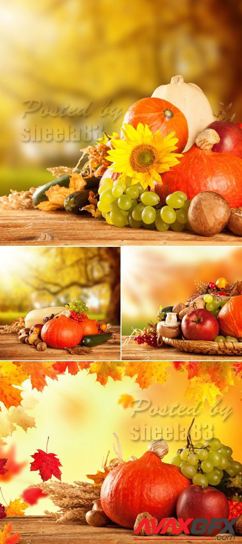 Stock Photo - Autumn Nature Cards