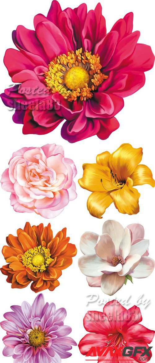 Realistic Flowers Vector