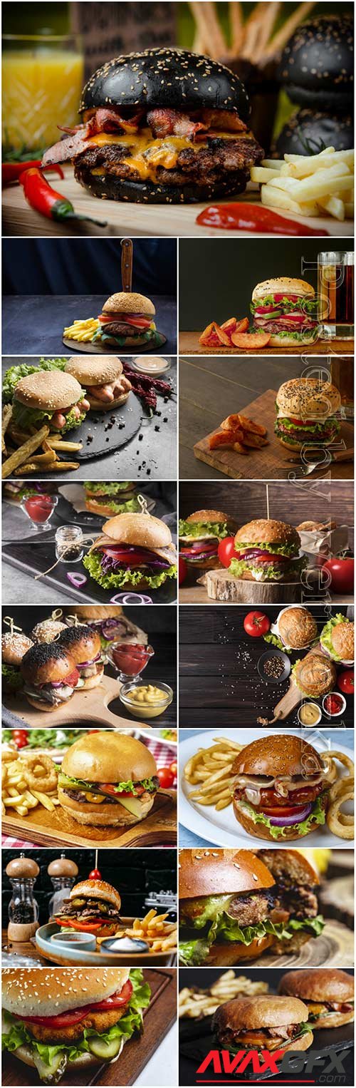 Gamburger with fries, fast food stock photo set