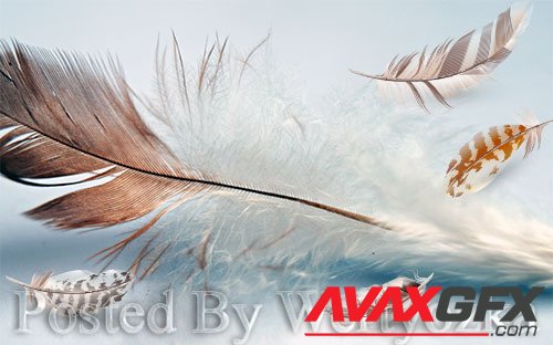 3D psd models fresh modern minimalist flowing feather tv background wall