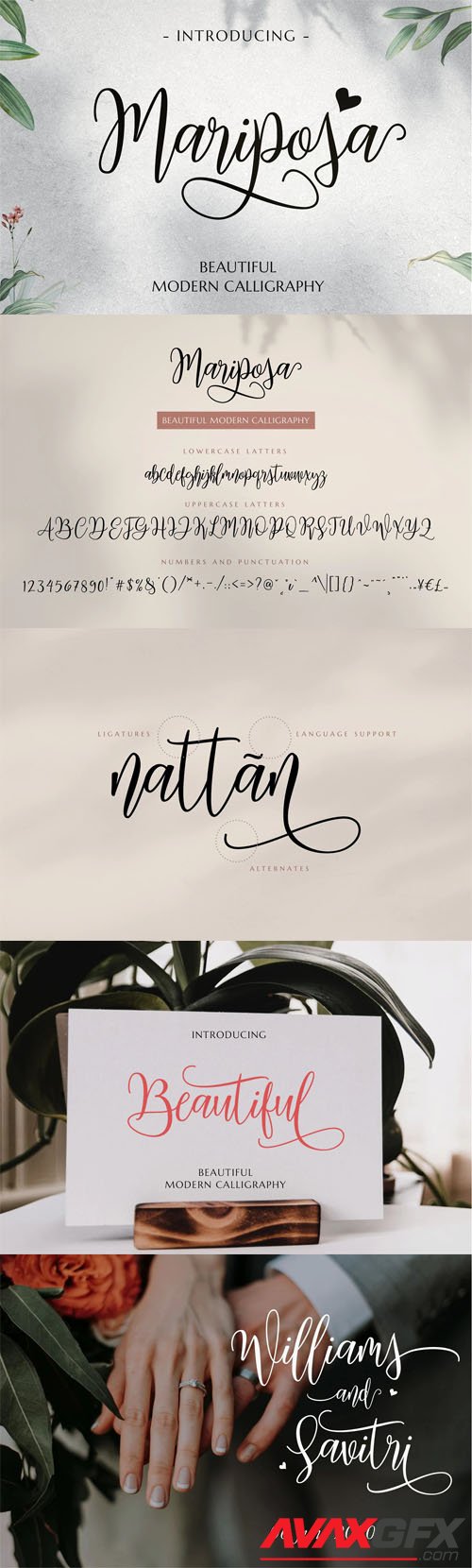 Mariposa - Beautiful Modern Calligraphy