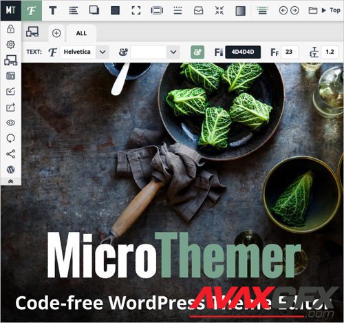 MicroThemer v6.3.0.0 - WordPress CSS Editor - NULLED