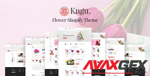 ThemeForest - Kngu v1.0.1 - Flower Shopify Theme - 28329602