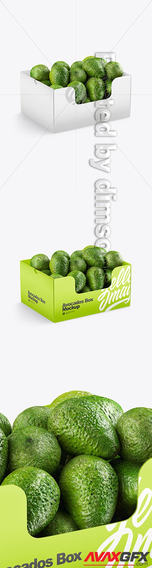 Box With Avocado 52650