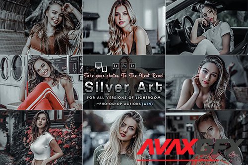 Silver Mood (Actions and Presets)