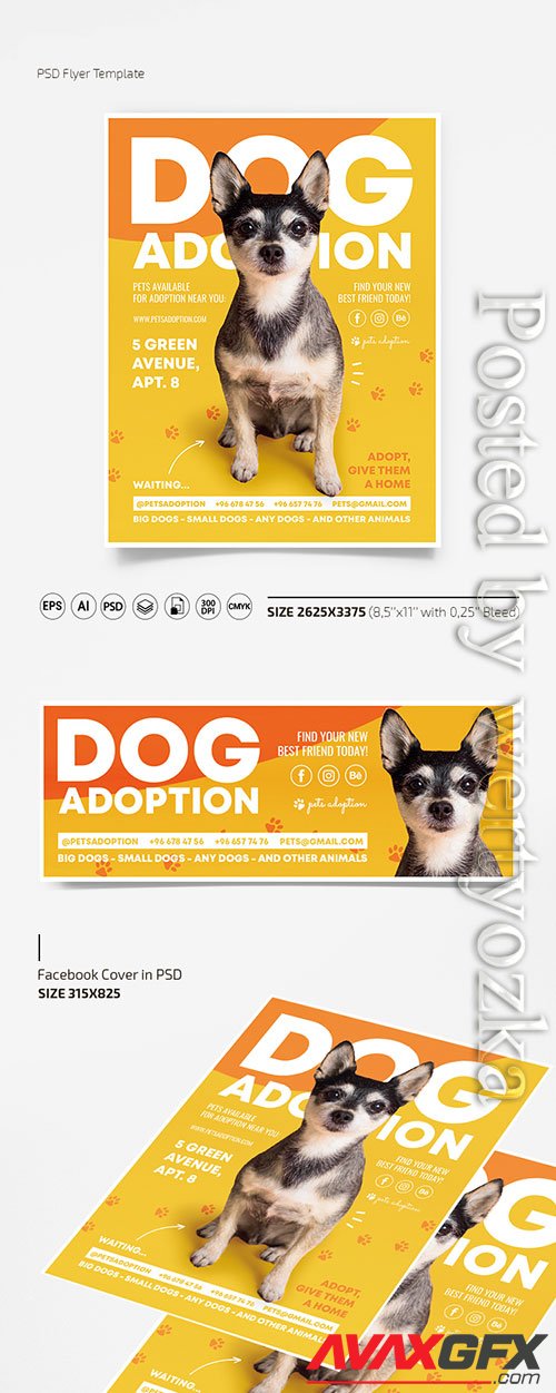 Dog adoption flyer template