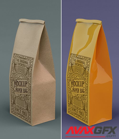 Kraft or Plastic Coffee Bag Mockup 328596601