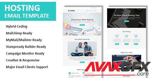 ThemeForest - Hosting v1.0 - Multipurpose Responsive Email Template with Online StampReady & Mailchimp Editors - 23442787