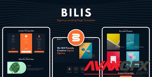 ThemeForest - Bilis v1.0 - Agency Landing Page Template - 28676544