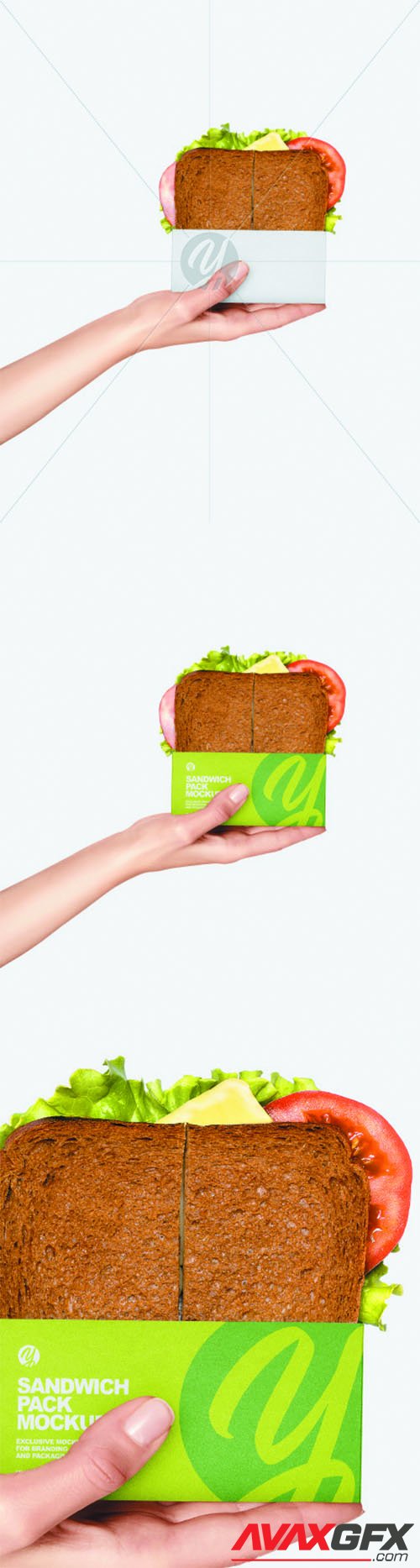 Sandwich Pack in a Hand Mockup 68904