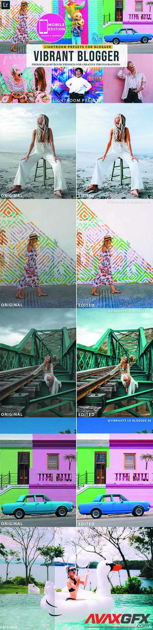 Vibrant Blogger Lightroom Presets