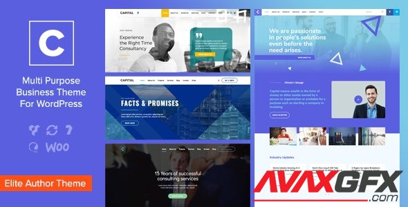 ThemeForest - Capital v2.0 - Multi Purpose Business WordPress Theme - 20376362