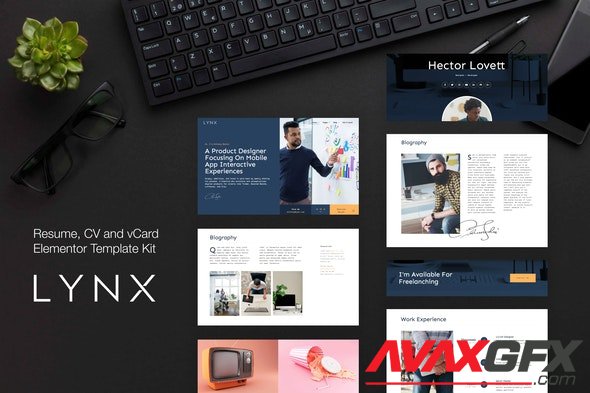 ThemeForest - Lynx v1.0.0 - Resume and CV Elementor Template Kit - 29605513