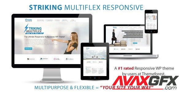 ThemeForest - Striking v2.1.2 - MultiFlex & Ecommerce Responsive WP Theme - 128763