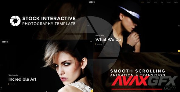 ThemeForest - Stock v1.0 - Interactive Photography Template (Update: 18 August 17) - 20308825