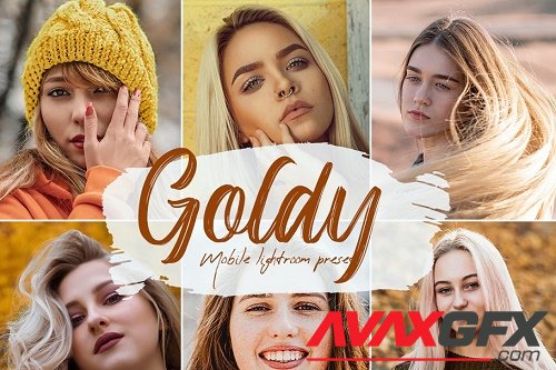 Goldy Lightroom Presets - 5663618