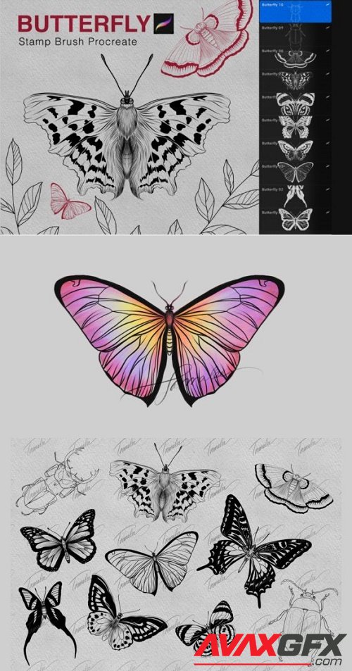 Butterfly Procreate Stamps Brushes
