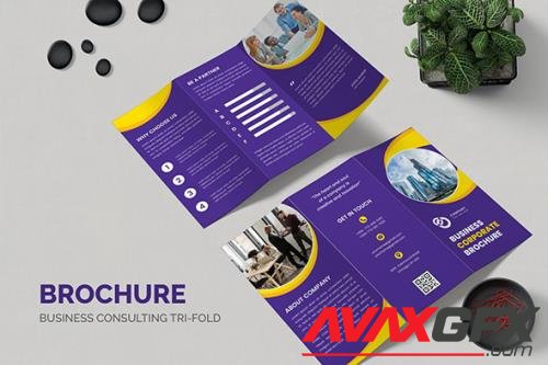 Brochure Trifold Business Marketing