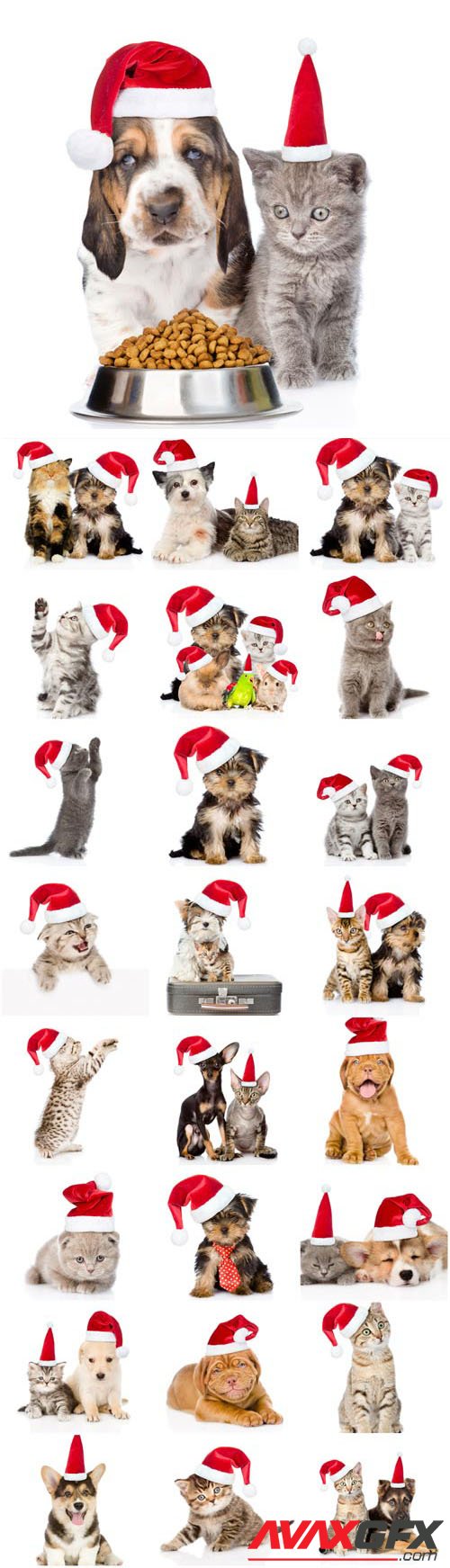 New Year and Christmas stock photos №52
